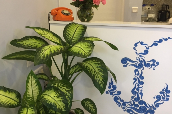 Mavi Su Pansiyon İ&ccedil; Alan