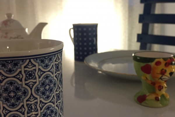 Mavi Su Pansiyon Teras