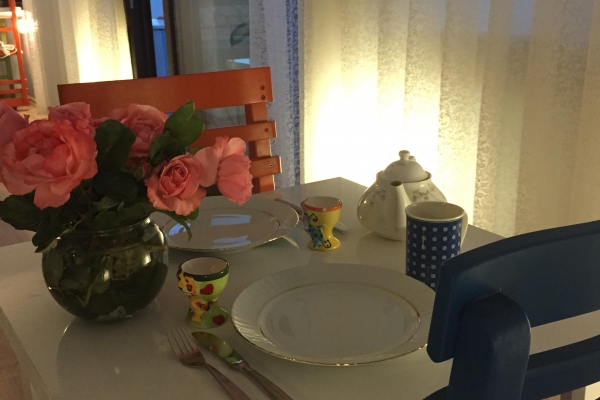 Mavi Su Pansiyon Teras